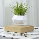 Flutua-Max - Vaso de Planta Flutuante