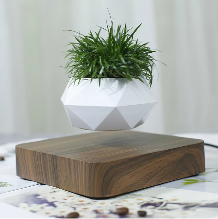 Flutua-Max - Vaso de Planta Flutuante